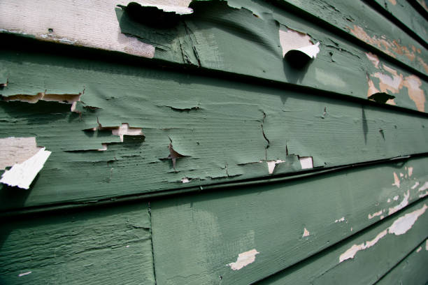Best Custom Trim and Detailing for Siding  in Reserve, LA