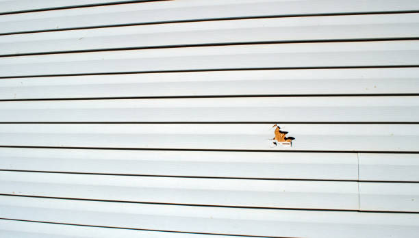 Best Fiber Cement Siding Installation  in Reserve, LA