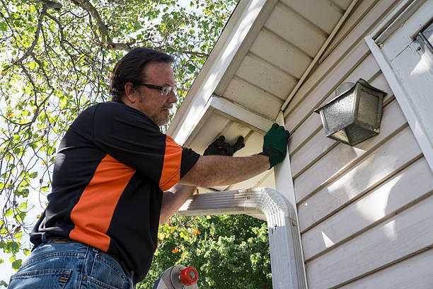 Affordable siding repair and maintenance services in Reserve, LA